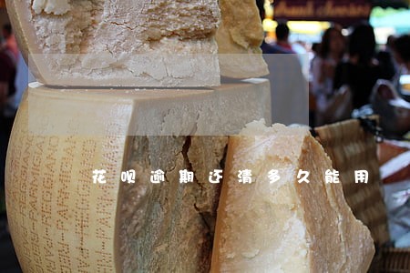 花呗逾期还清多久能用 花呗逾期还清多久能用