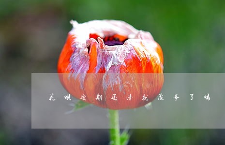 花呗逾期还清就没事了吗 花呗逾期还清就没事了吗