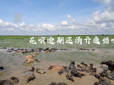 花呗逾期还清开通借呗 花呗逾期还清开通借呗