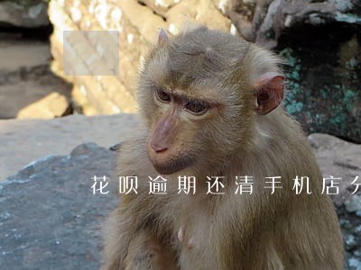 花呗逾期还清手机店分期付款 花呗逾期还清手机店分期付款