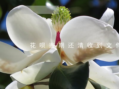 花呗逾期还清收到文件 花呗逾期还清收到文件