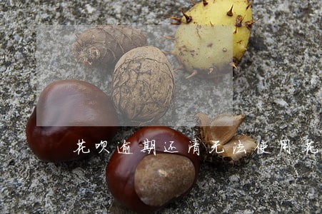 花呗逾期还清无法使用花呗购物