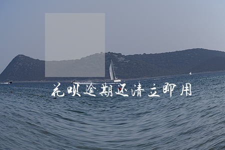 花呗逾期还清立即用 花呗逾期还清立即用