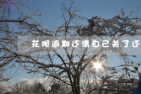 花呗逾期还清自己关了还能开通么 花呗逾期还清自己关了还能开通么