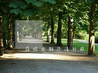 花呗逾期还清补救 花呗逾期还清补救