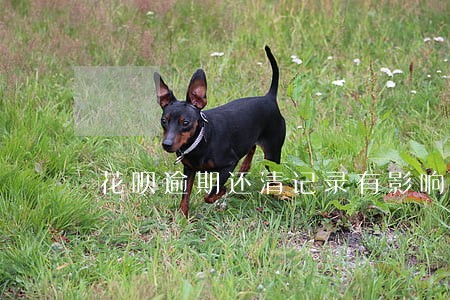 花呗逾期还清记录有影响吗 花呗逾期还清记录有影响吗