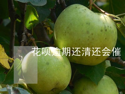 花呗逾期还清还会催 花呗逾期还清还会催