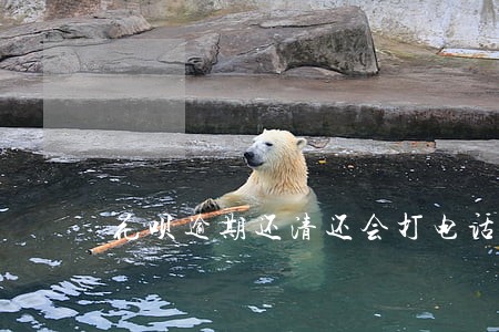 花呗逾期还清还会打电话吗 花呗逾期还清还会打电话吗