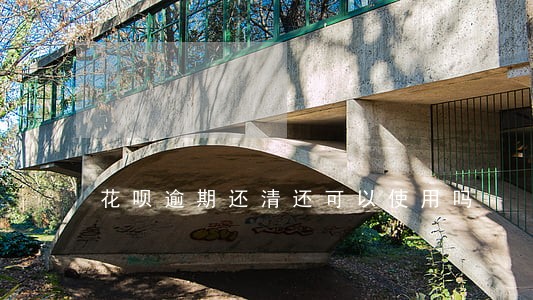 花呗逾期还清还可以使用吗 花呗逾期还清还可以使用吗