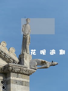花呗逾期还清还可以在哪贷款 花呗逾期还清还可以在哪贷款