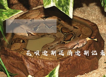 花呗逾期还清逾期记录怎么清除 花呗逾期还清逾期记录怎么清除
