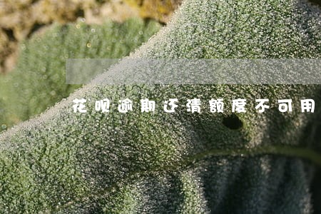 花呗逾期还清额度不可用 花呗逾期还清额度不可用