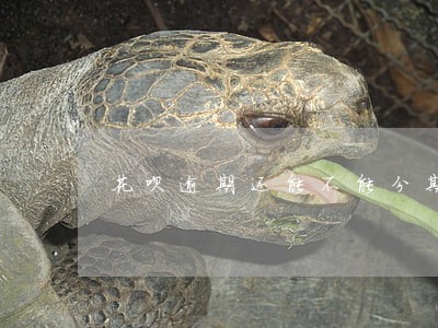 花呗逾期还能不能分期手机 花呗逾期还能不能分期手机