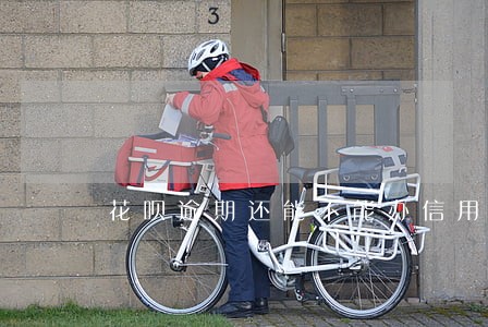 花呗逾期还能不能办信用卡 花呗逾期还能不能办信用卡