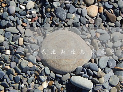 花呗逾期还能买房吗 花呗逾期还能买房吗