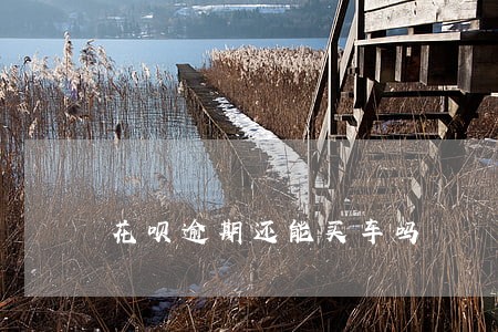 花呗逾期还能买车吗 花呗逾期还能买车吗