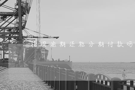 花呗逾期还能分期付款吗