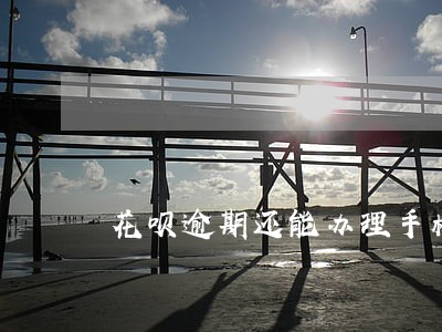 花呗逾期还能办理手机分期吗 花呗逾期还能办理手机分期吗