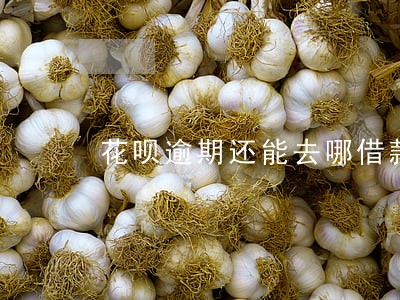 花呗逾期还能去哪借款 花呗逾期还能去哪借款