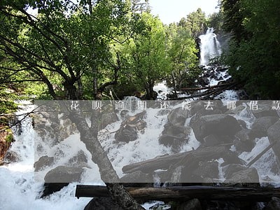花呗逾期还能去哪借款嘛 花呗逾期还能去哪借款嘛