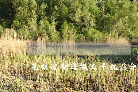 花呗逾期还能去手机店分期吗 花呗逾期还能去手机店分期吗