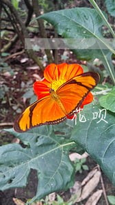花呗逾期还能小额贷款吗 花呗逾期还能小额贷款吗