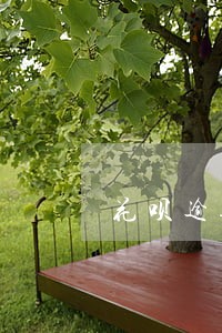 花呗逾期还能开通信用卡吗 花呗逾期还能开通信用卡吗