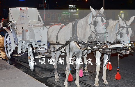 花呗逾期还能恢复么 花呗逾期还能恢复么