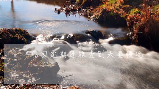 花呗逾期还能查到夫妻情况 花呗逾期还能查到夫妻情况