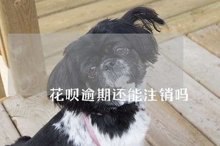 花呗逾期还能注销吗 花呗逾期还能注销吗