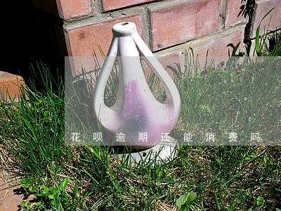 花呗逾期还能消费吗 花呗逾期还能消费吗