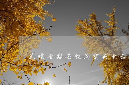 花呗逾期还能淘宝买东西吗 花呗逾期还能淘宝买东西吗