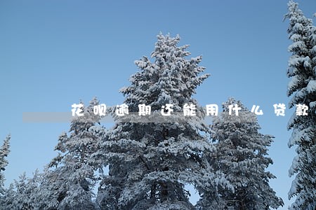 花呗逾期还能用什么贷款吗