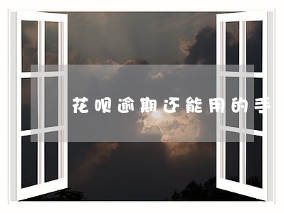 花呗逾期还能用的手机贷款软件 花呗逾期还能用的手机贷款软件