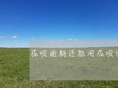 花呗逾期还能用花呗付款吗 花呗逾期还能用花呗付款吗