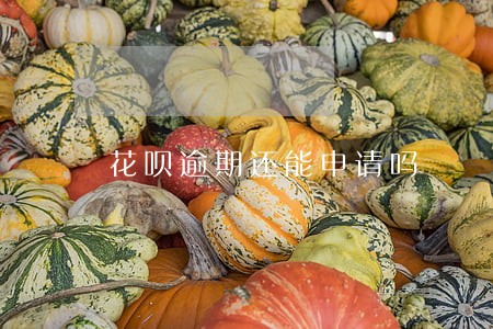 花呗逾期还能申请吗 花呗逾期还能申请吗