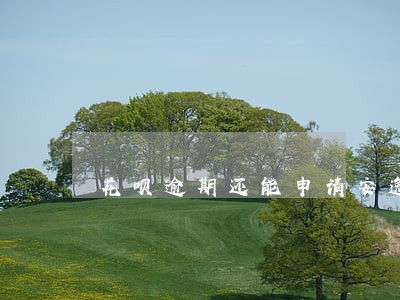 花呗逾期还能申请安逸花吗 花呗逾期还能申请安逸花吗