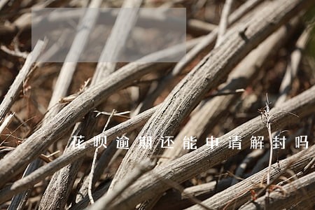 花呗逾期还能申请解封吗 花呗逾期还能申请解封吗