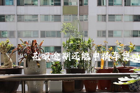 花呗逾期还能申请车贷吗 花呗逾期还能申请车贷吗