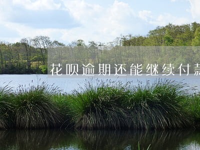 花呗逾期还能继续付款吗