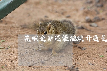 花呗逾期还能继续开通芝麻信用 花呗逾期还能继续开通芝麻信用