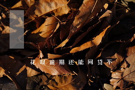 花呗逾期还能网贷不 花呗逾期还能网贷不