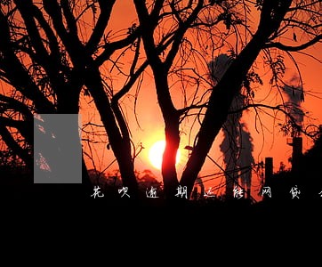 花呗逾期还能网贷么 花呗逾期还能网贷么