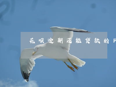 花呗逾期还能贷款的网贷 花呗逾期还能贷款的网贷