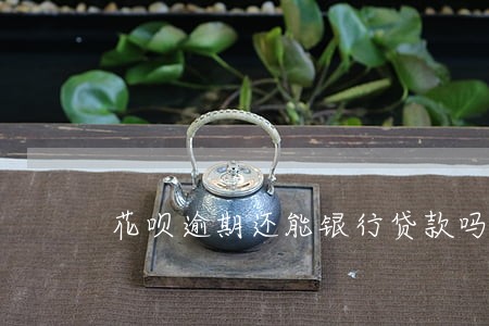 花呗逾期还能银行贷款吗