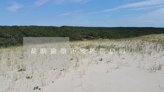 花呗逾期还要还罚息吗 花呗逾期还要还罚息吗