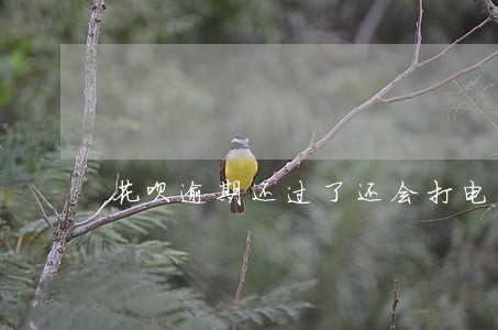 花呗逾期还过了还会打电话吗 花呗逾期还过了还会打电话吗