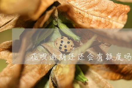 花呗逾期还还会有额度吗 花呗逾期还还会有额度吗