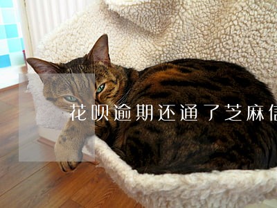 花呗逾期还通了芝麻信用提升吗 花呗逾期还通了芝麻信用提升吗