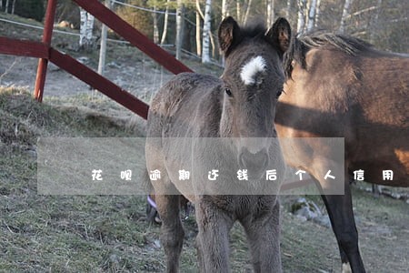 花呗逾期还钱后个人信用
